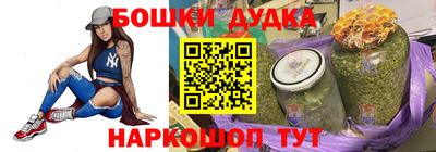 индика Обнинск