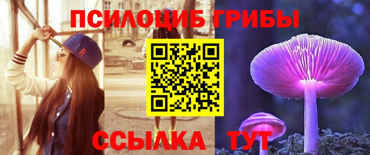 Псилоцибиновые грибы Psilocybine cubensis  Вход с VPN  Туймазы 
